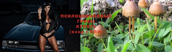 МДМА Козельск