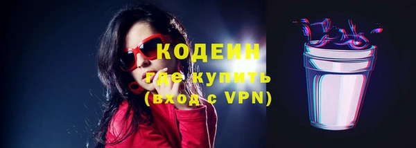 хмурый Каменногорск