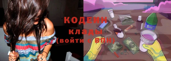 спиды Каменка